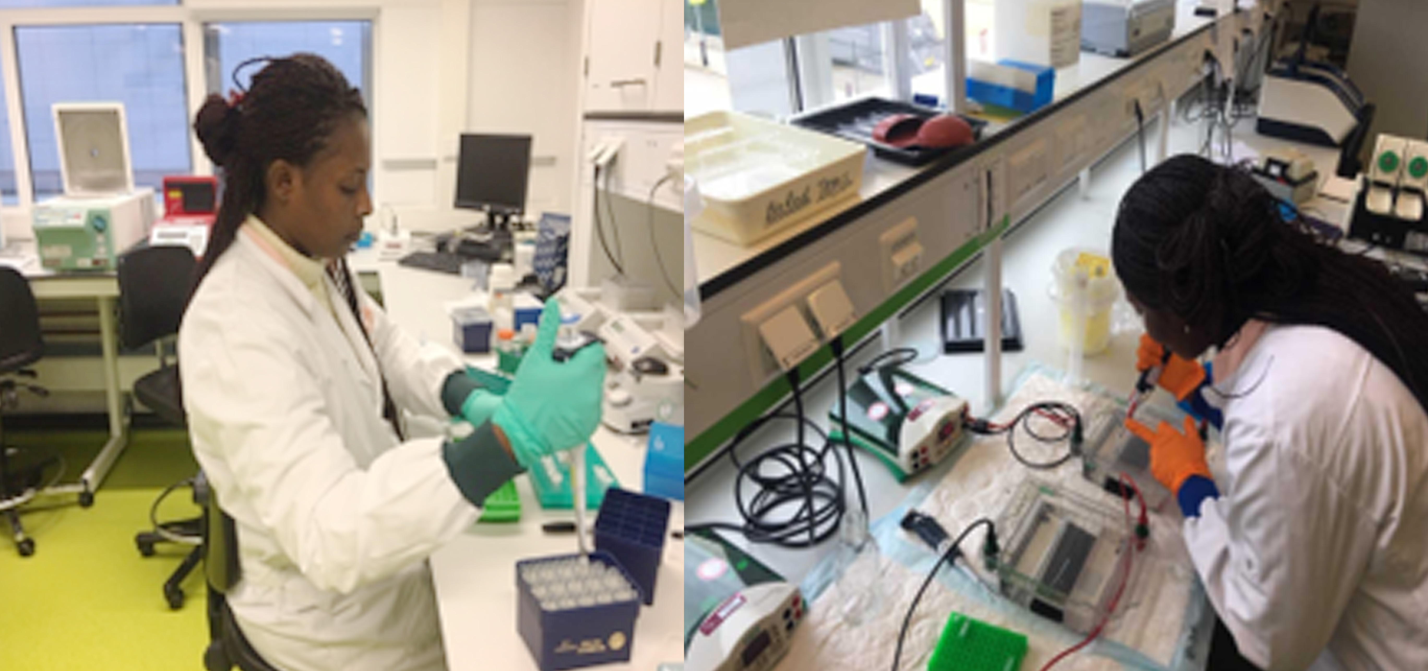 CHS-KNUST lecturer wins USD 150,000 American Society of Haematology Global Research Award to Advance Immunohaematology Research in Ghana